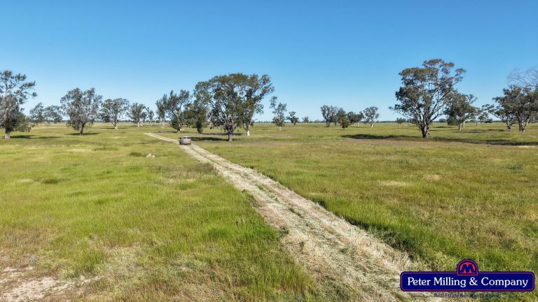 Cropping property at 8574 Mitchell Highway, Trangie NSW 2823