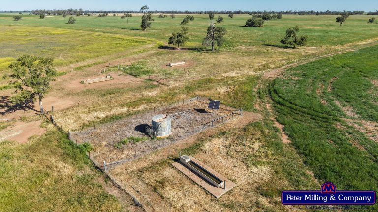 Cropping property at 8574 Mitchell Highway, Trangie NSW 2823