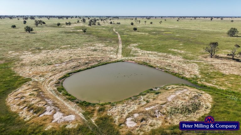 Cropping property at 8574 Mitchell Highway, Trangie NSW 2823