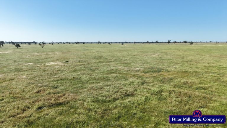 Cropping property at 8574 Mitchell Highway, Trangie NSW 2823