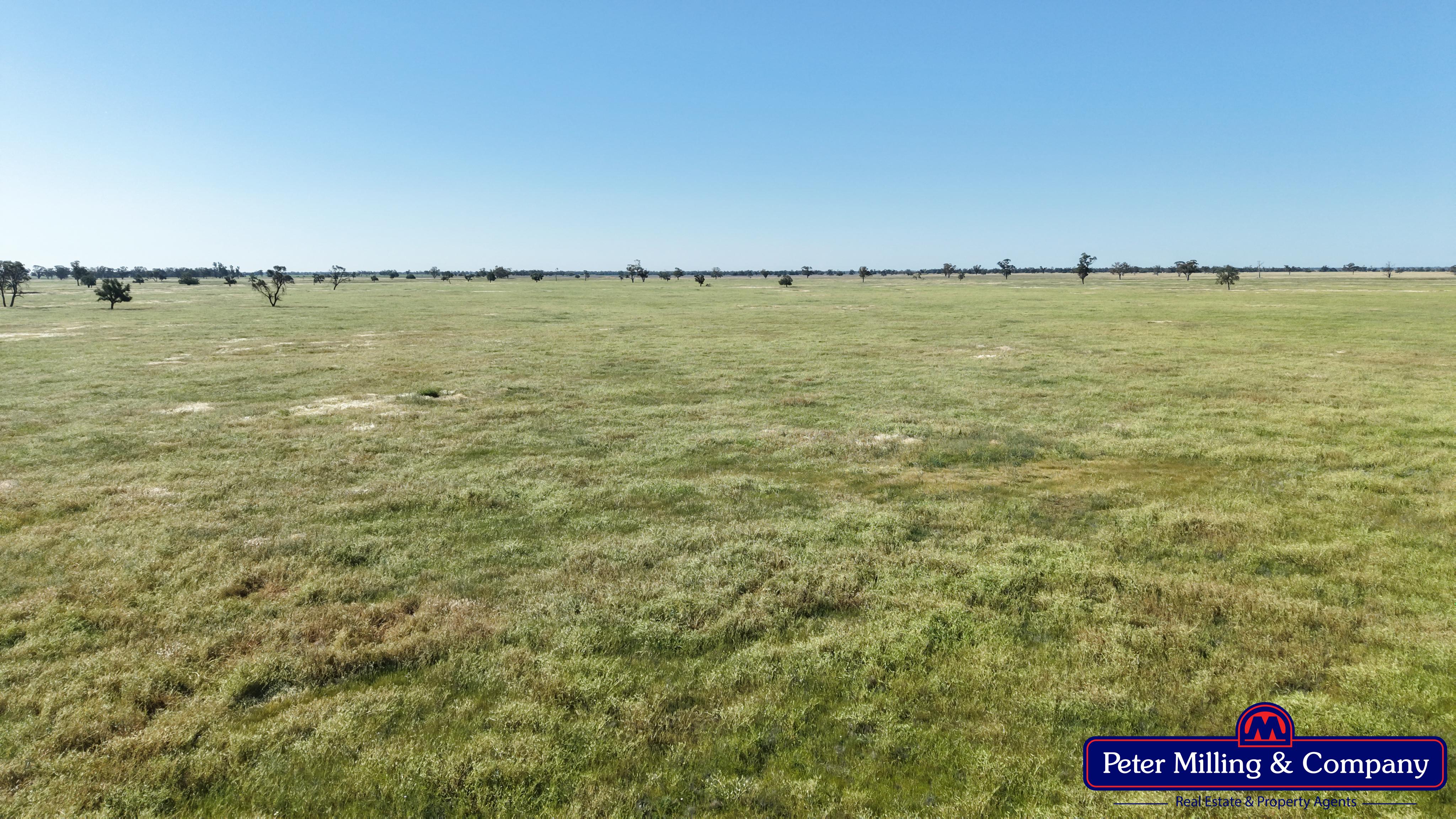 Cropping property at 8574 Mitchell Highway, Trangie NSW 2823