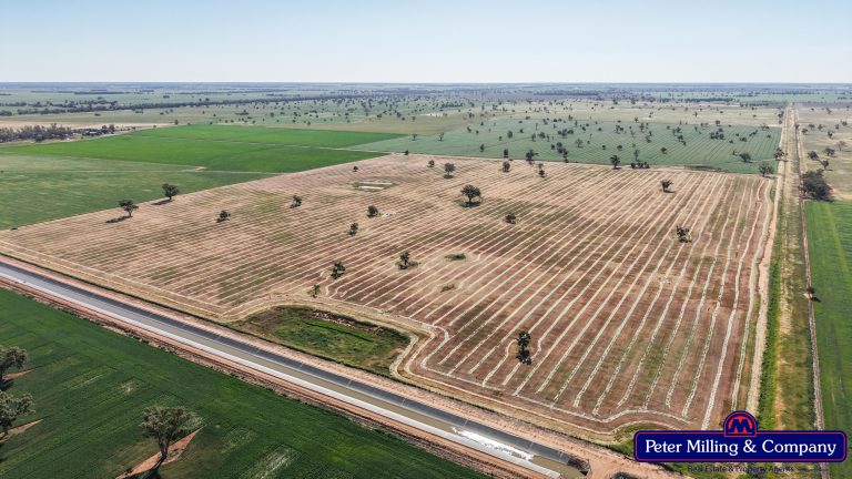 Cropping property at 8574 Mitchell Highway, Trangie NSW 2823