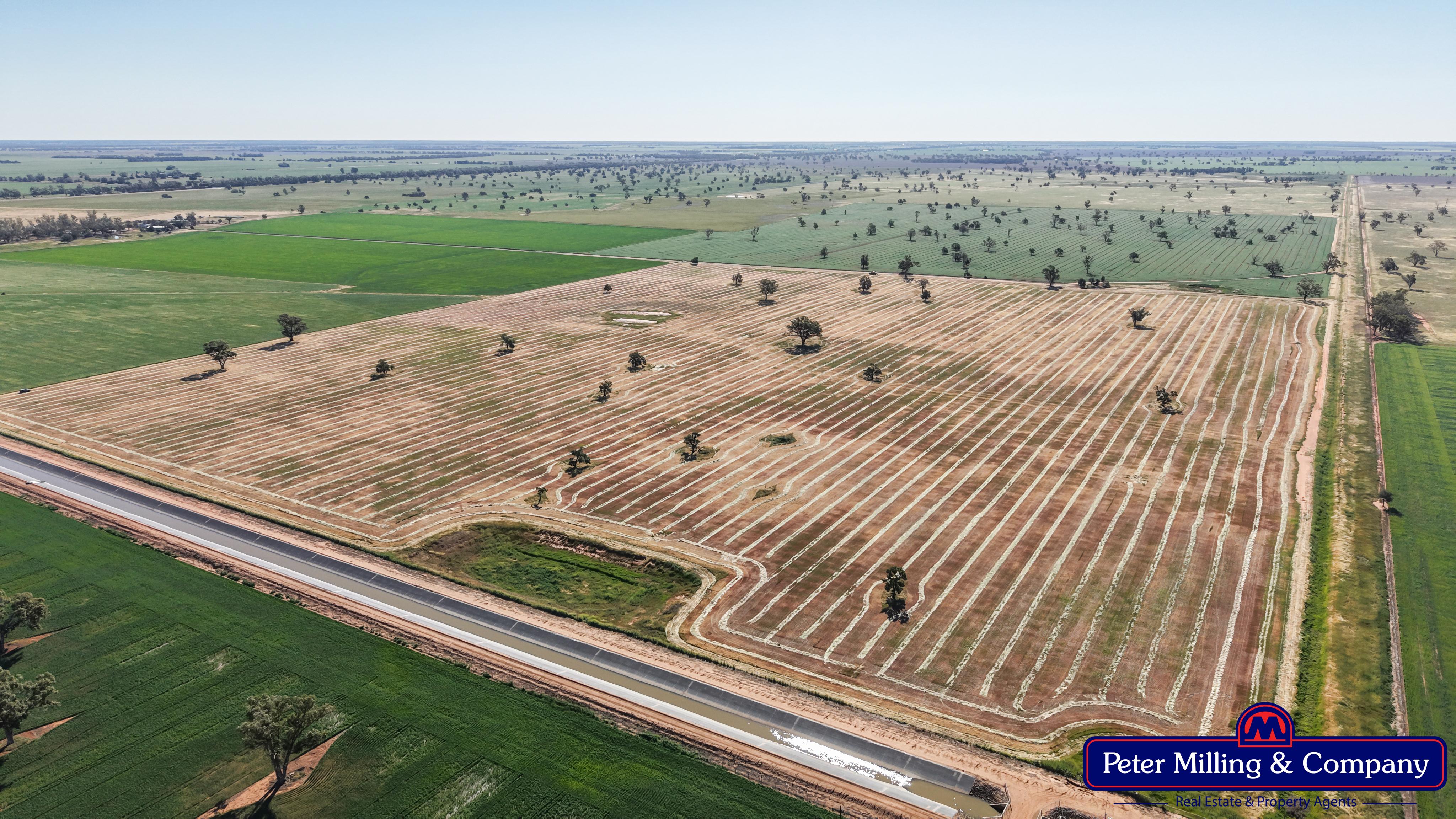 Cropping property at 8574 Mitchell Highway, Trangie NSW 2823