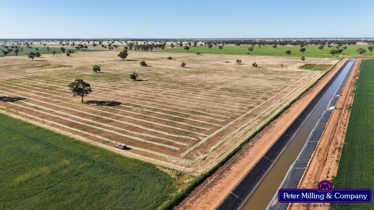 Cropping property at 8574 Mitchell Highway, Trangie NSW 2823