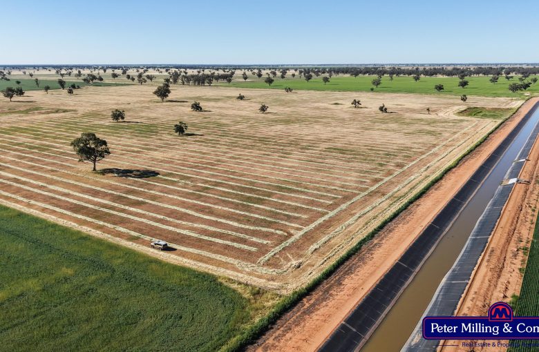 Cropping property at 8574 Mitchell Highway, Trangie NSW 2823