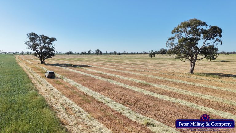 Cropping property at 8574 Mitchell Highway, Trangie NSW 2823
