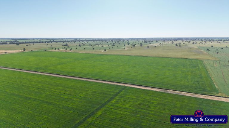 Cropping property at 8574 Mitchell Highway, Trangie NSW 2823