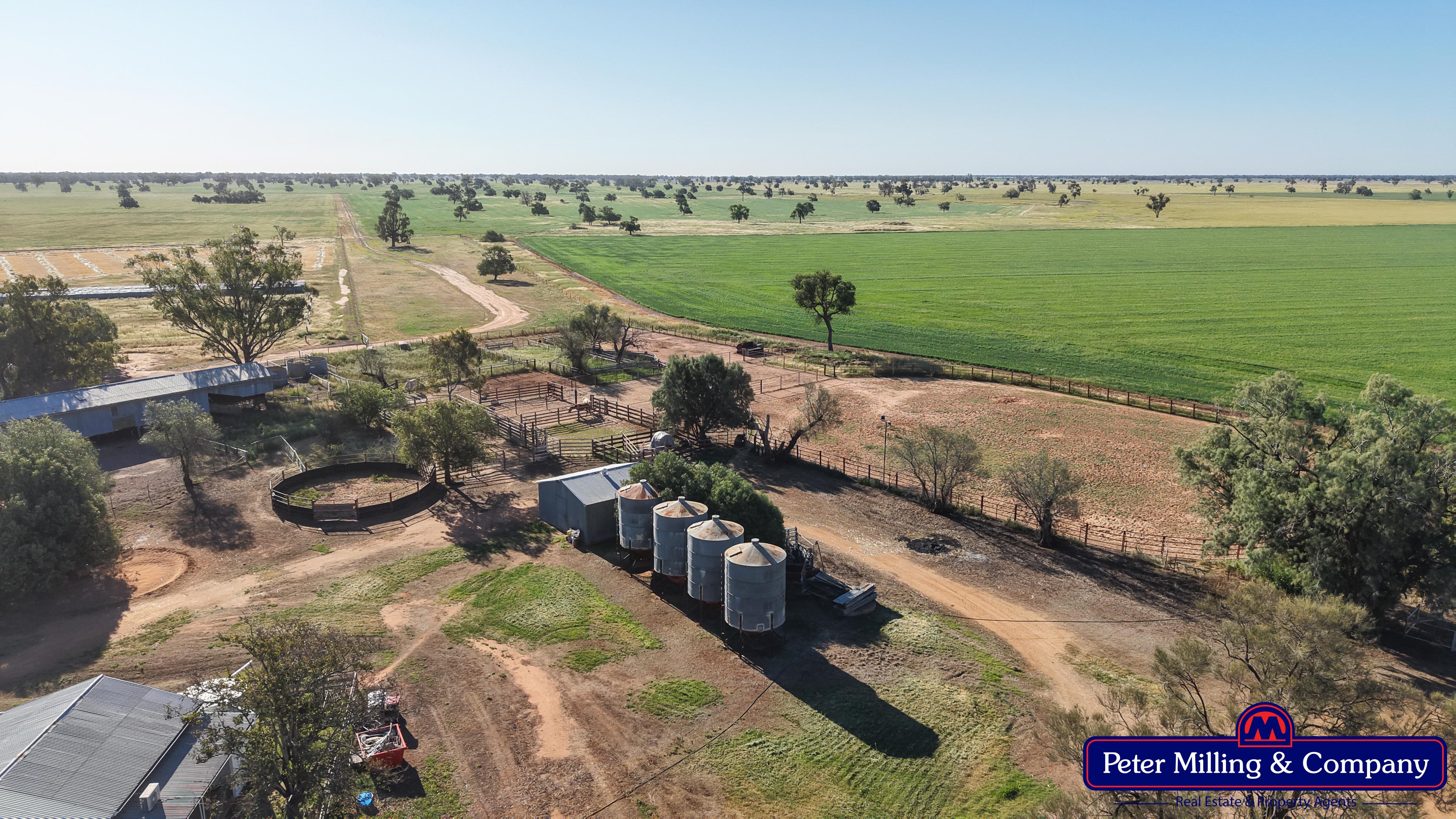 Cropping property at 8574 Mitchell Highway, Trangie NSW 2823