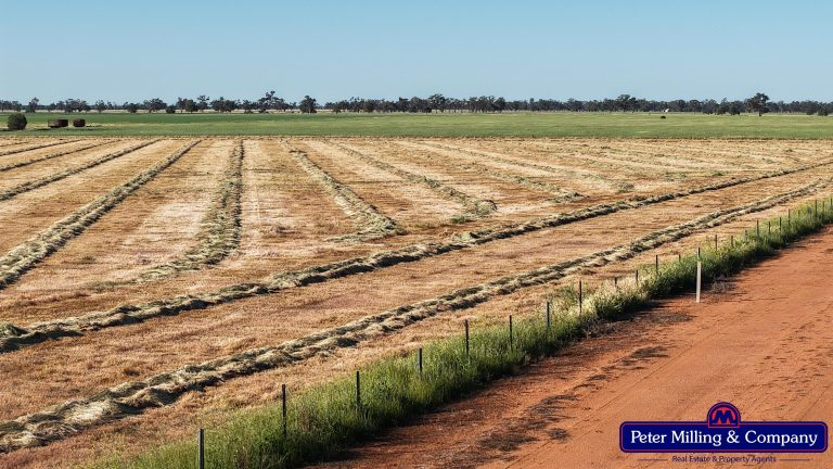 Cropping property at 8574 Mitchell Highway, Trangie NSW 2823
