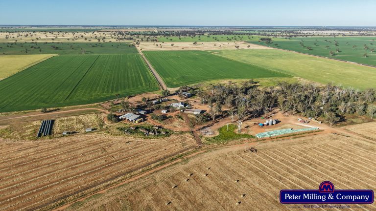 Cropping property at 8574 Mitchell Highway, Trangie NSW 2823