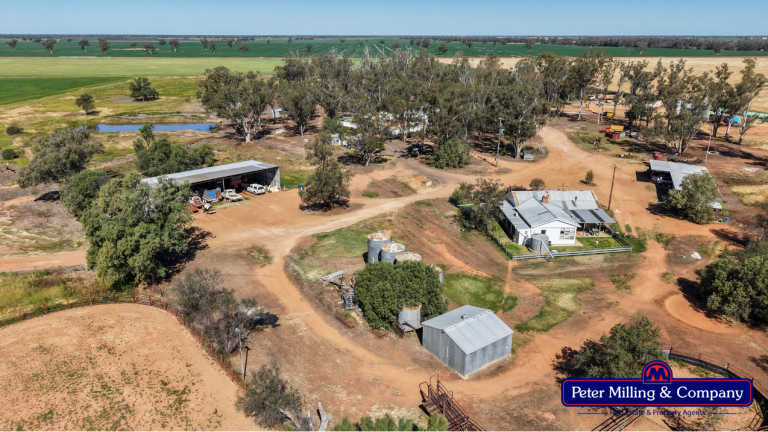 Cropping property at 8574 Mitchell Highway, Trangie NSW 2823