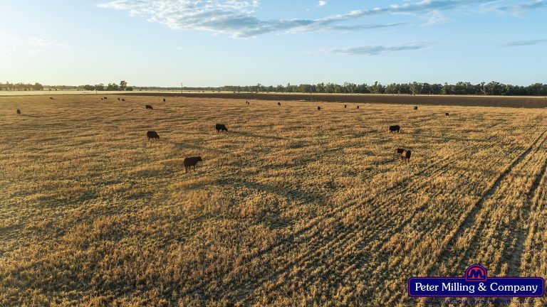 Rural property at 62L Rawsonville Road, Dubbo NSW 2830