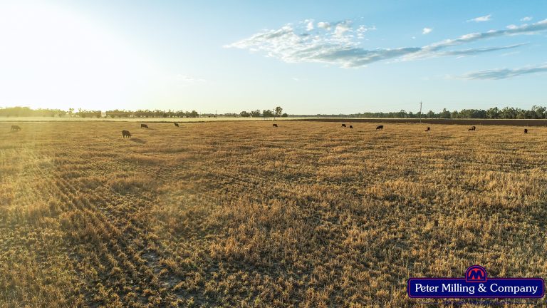 Rural property at 62L Rawsonville Road, Dubbo NSW 2830