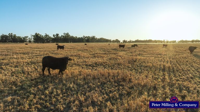 Rural property at 62L Rawsonville Road, Dubbo NSW 2830