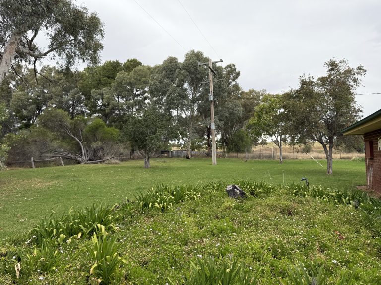 5 bedroom house at 504 Comobella Road, Geurie NSW 2818