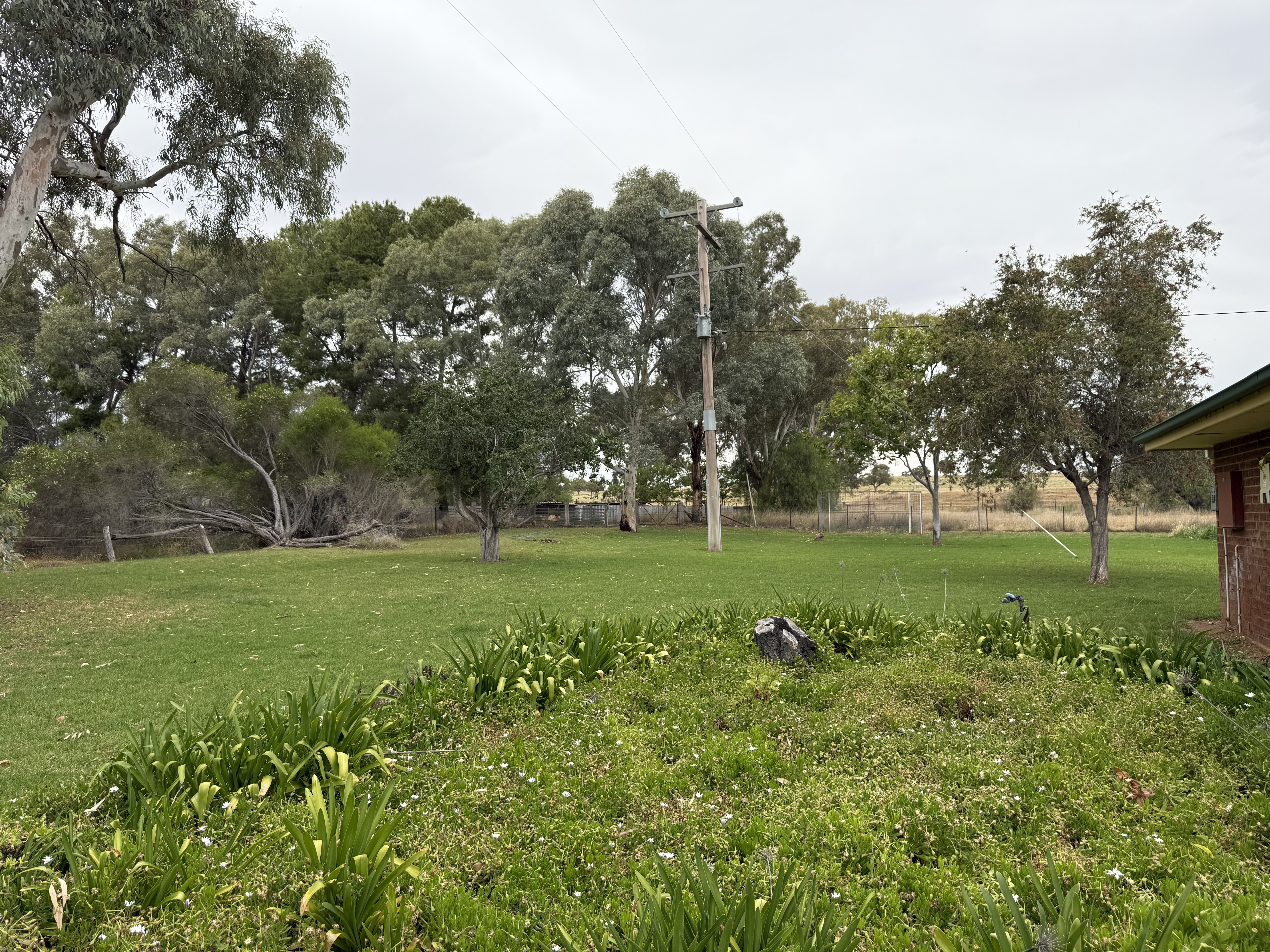 5 bedroom house at 504 Comobella Road, Geurie NSW 2818