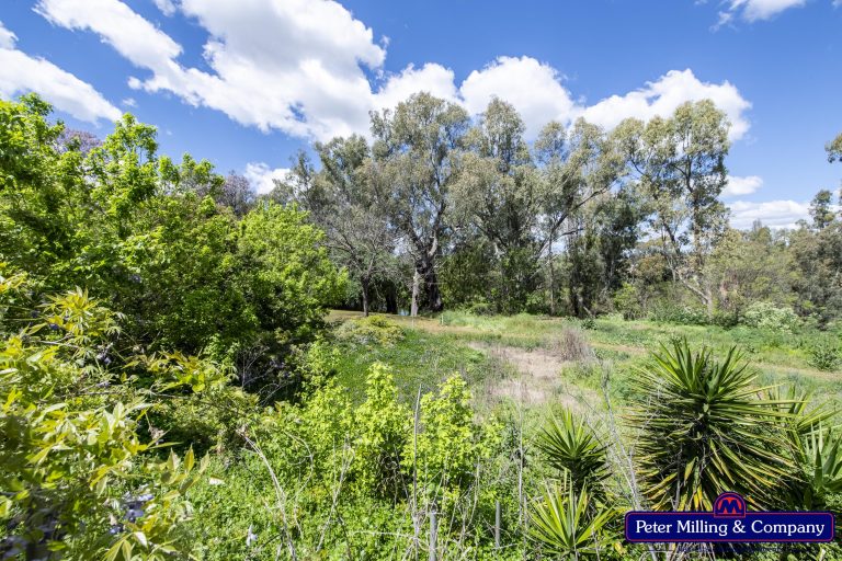 4 bedroom house at 21 Montefiores Street, Wellington NSW 2820